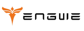 Engwe
