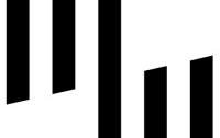 Zebra BI